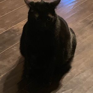 Meet your Posher, Kristina